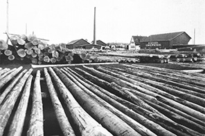 Gründung der Holzhandlung Schmiederer & Co. in Ruhpolding durch Richard Schmiederer sen.