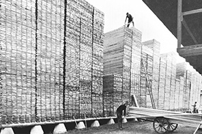 Grundsteinlegung der Holzhandlung Johannes Scheiffele in Ulm